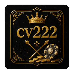 cv222 APK install screen